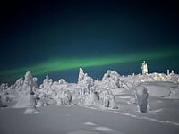 Northern lights in total darkness