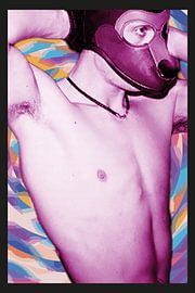 Be a dog if you can't be a unicorn