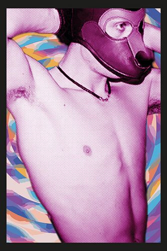 Wees een hond als je geen eenhoorn kunt zijn