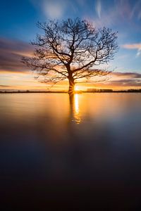 Plaines inondables IJssel lever de soleil sur Rick Kloekke