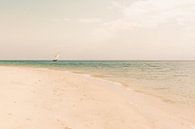 Zanzibar sailboat by Andy Troy thumbnail