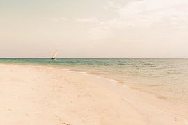 Zanzibar sailboat by Andy Troy