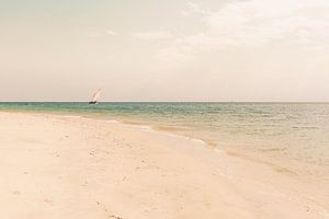 Zanzibar sailboat