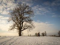 Winter in Zutphen