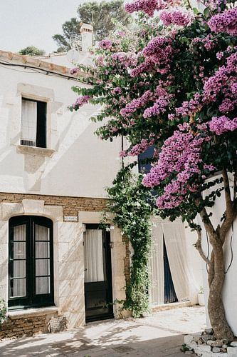 Maison Bougainvillée