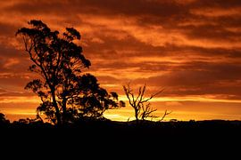 Zonsondergang, St. Helens, Tasmanië, Australië van Falisha Lavooij