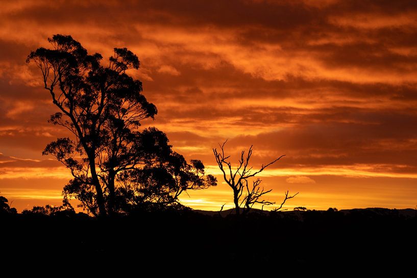 Sunset, St Helens, Tasmania, Australia by Falisha Lavooij