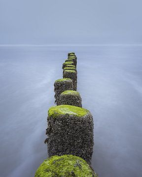 Wellenbrecher mit Moos und Muscheln an der Nordsee | Landschaftsfotografie von Marijn Alons