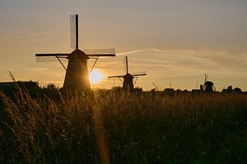 Moulins à vent au coucher du soleil sur Etienne Rijsdijk