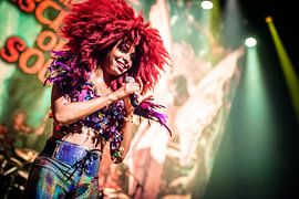 Little Steven 2019 van Johan Breij