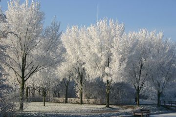 Winterlandschap van EnWout