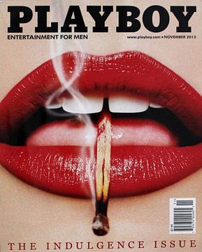 Playboy November 2013