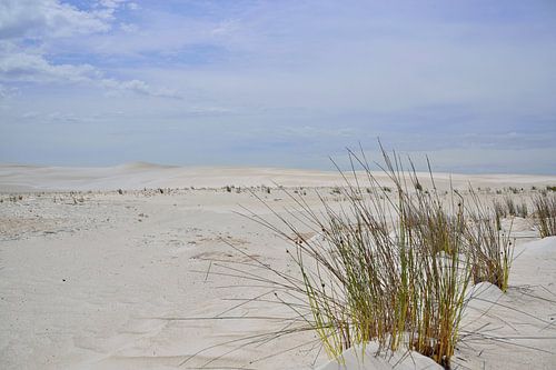 Heet en droog
