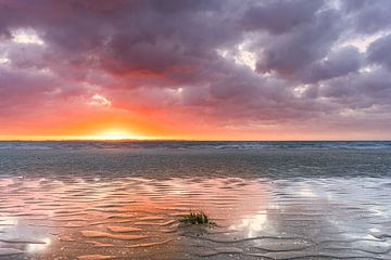 Sonnenuntergang an der Küste von Björn van den Berg