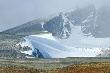 Dovre Nationaal Park van Karin Jähne