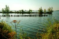 Vues estivales du lac du Bouclier depuis la réserve naturelle de Tetjehorn