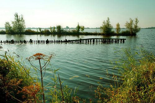 Summer views of the Shield Lake from Tetjehorn nature reserve