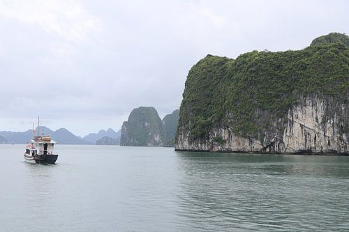 Vietnamesischer Felsen im Fluss