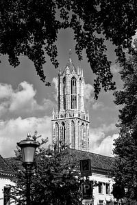 Ein eingerahmter Domturm in Utrecht von der Nieuwegracht aus gesehen in schwarz-weiß