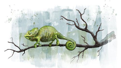 Kleurige kameleon op dorre tak