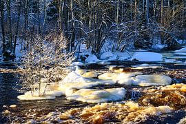 Winter Sweden 10 by Geertjan Plooijer