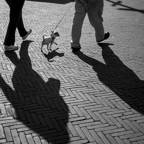 Schaduwen en patronen