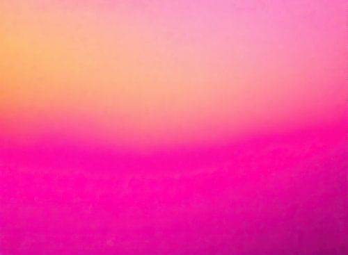 Rose jaune | Atmosphère rose foncé à orange