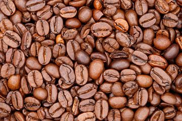 Geroosterde koffiebonen van de-nue-pic