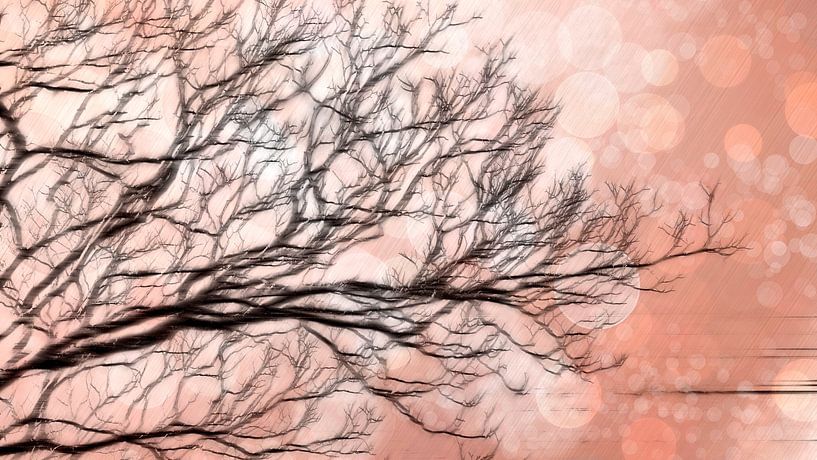 Summer tree by Mad Dog Art