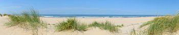 Vue panoramique de la plage en été sur la mer du Nord