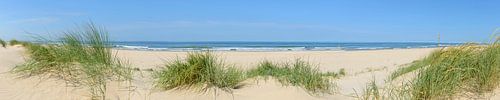 Panoramisch uitzicht op het strand in de zomer aan de Noordzee