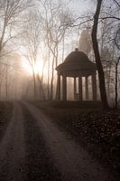 Hohenstein forest5