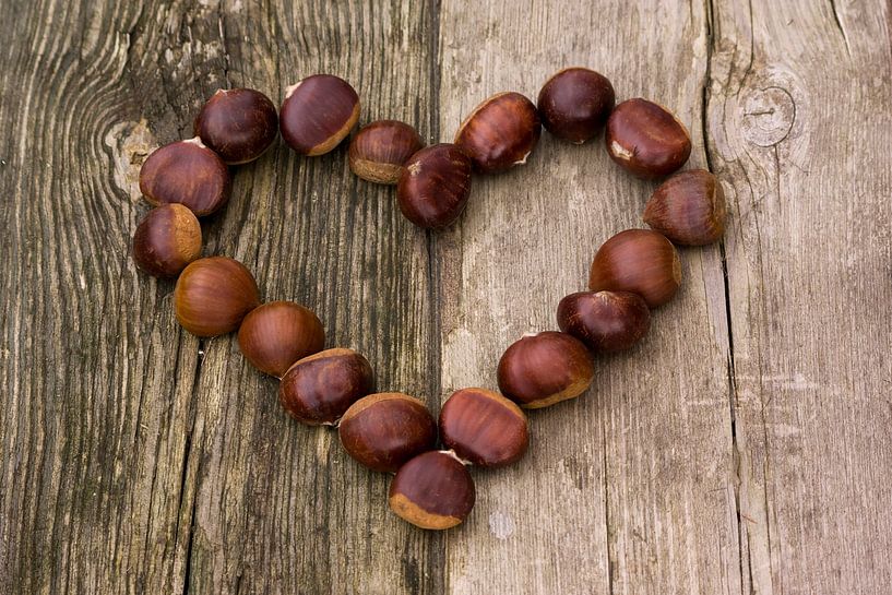 coeur de châtaignier par Laura Weijzig