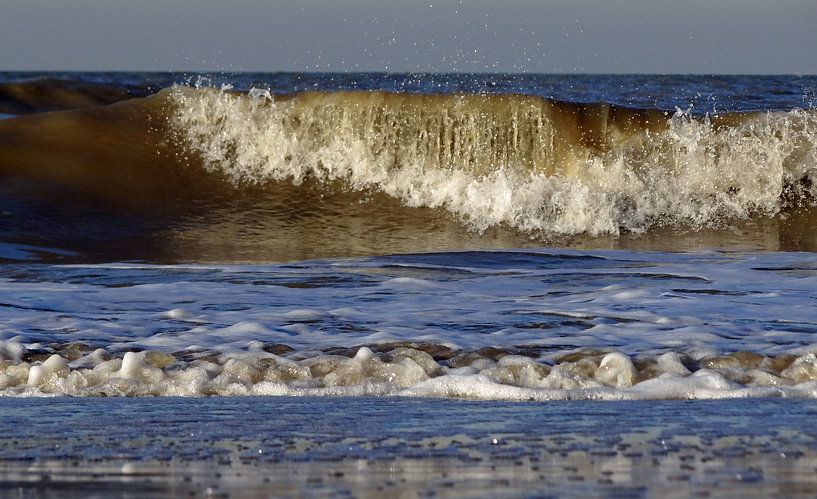 Wave by Roy Strik