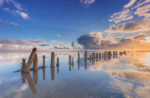 Alter Deich im Wattenmeer bei Wierum