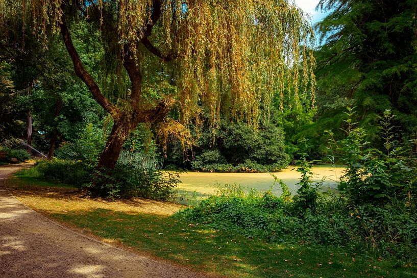 Englischer Garten Berlin von Mixed media vector arts