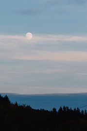 Maanlicht boven de heuvels von Annemarie Rikkers