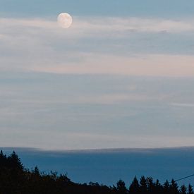 Moonlight over the hills von Annemarie Rikkers