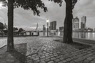 Rotterdam from the Veerhaven by Martien Snikkers thumbnail