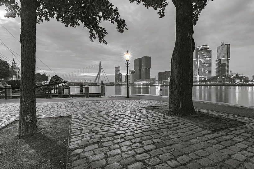 Rotterdam from the Veerhaven by Martien Snikkers