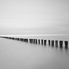 Silence on the coast by Bart van Dongen