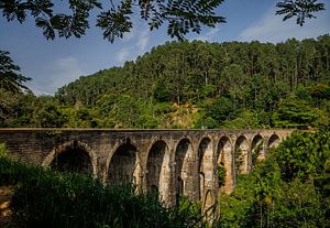 Neun-Bogen-Brücke. Diese Zugfahrt in Sri Lanka ist eine der schönsten der Welt.