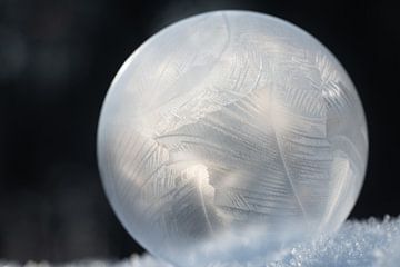 Bevroren zeepbel tegen een donkere achtergrond van Ulrike Leone