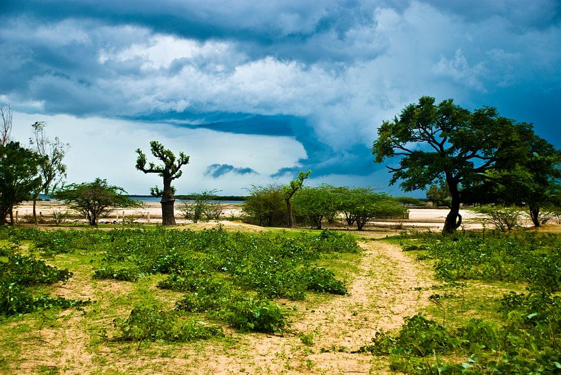 Storm in nature, Senegal by Joke Van Eeghem