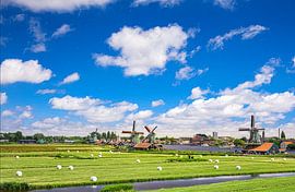 Ik hou van Holland  van Truckpowerr