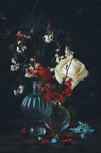 Still life with rose and blossom