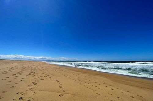 Des traces dans le sable, des pensées dans le vent sur Theodor Decker