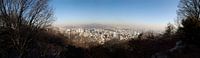 Seoul in Infinity - Panorama from the Seoul Tower