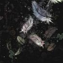 Artwork - zwarte achtergrond met mooie gekleurde dons veertjes van Emiel de Lange thumbnail