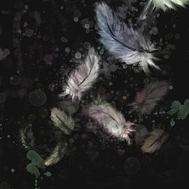 Artwork - black background with coloured down feathers by Emiel de Lange